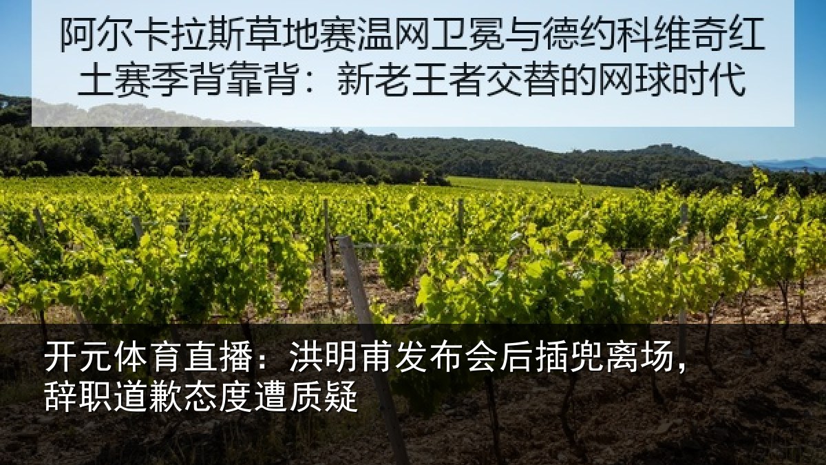 开元体育直播:洪明甫发布会后插兜离场,辞职道歉态度遭质疑