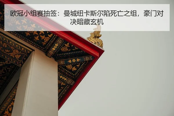 ou-guan-xiao-zu-sai-chou-qian-man-cheng-niu-ka-si-er-xian-si-wang-zhi-zu-hao-men-dui-jue-an-cang-xuan-ji-2-355.jpg