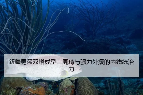 xin-jiang-nan-lan-shuang-ta-cheng-xing-zhou-qi-yu-qiang-li-wai-yuan-de-nei-xian-tong-zhi-li-3-620.jpg